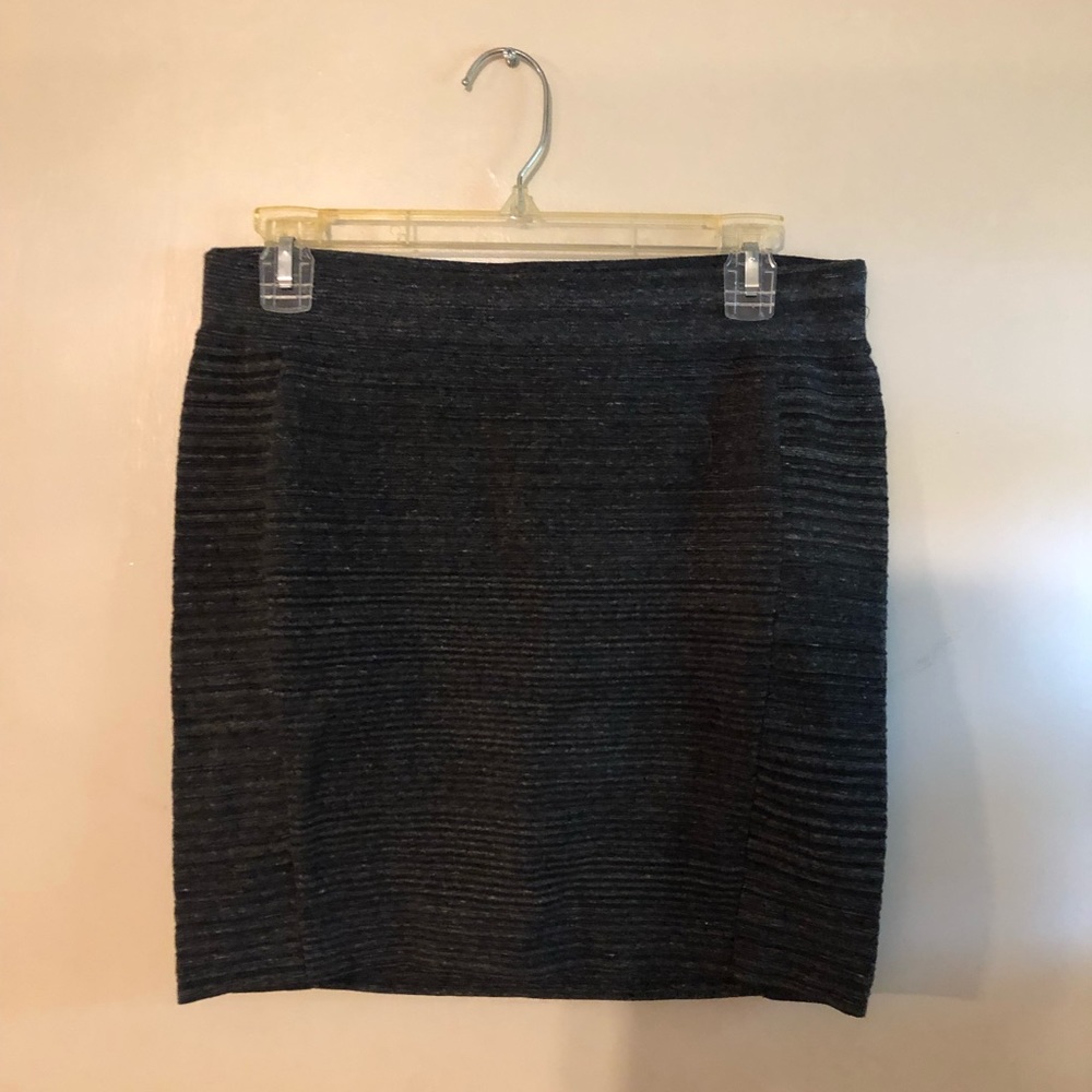 NWT Express skirt